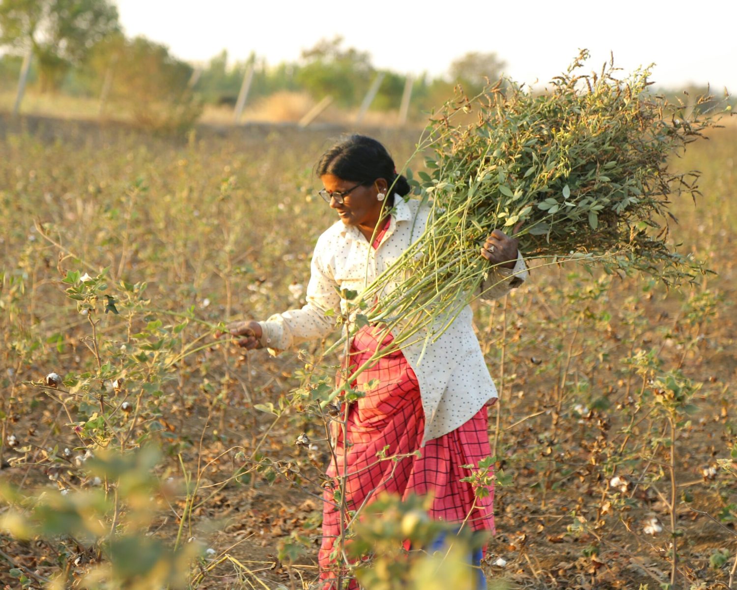 equalstock-yIFWGa3MDtc-unsplash