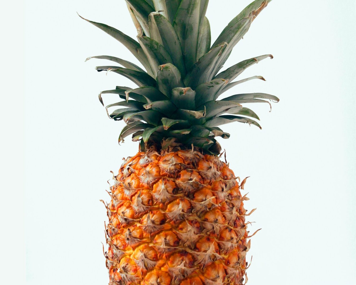 fernando-andrade-nAOZCYcLND8-unsplash