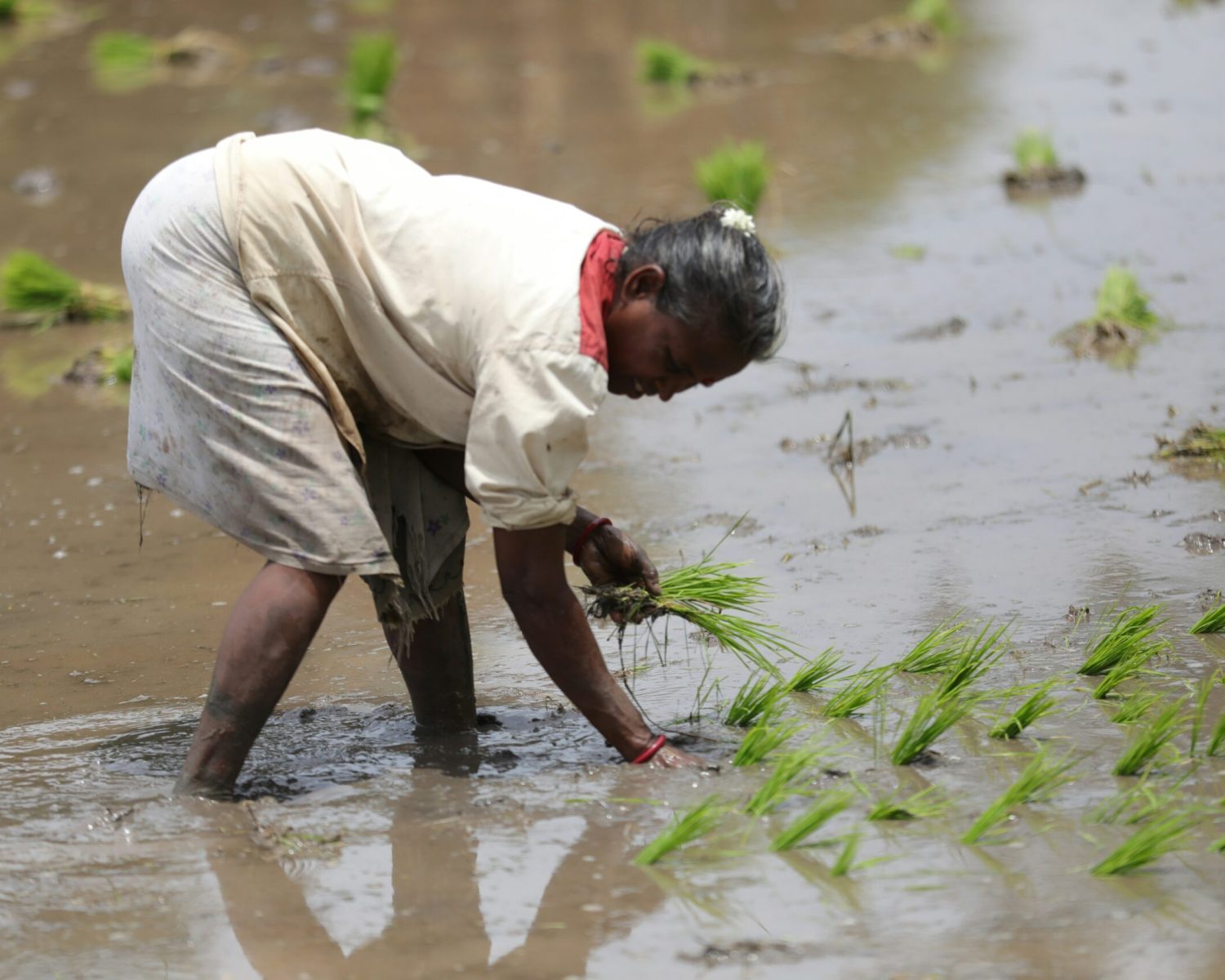 guru-moorthy-gokul-rqmTLn8QEzE-unsplash