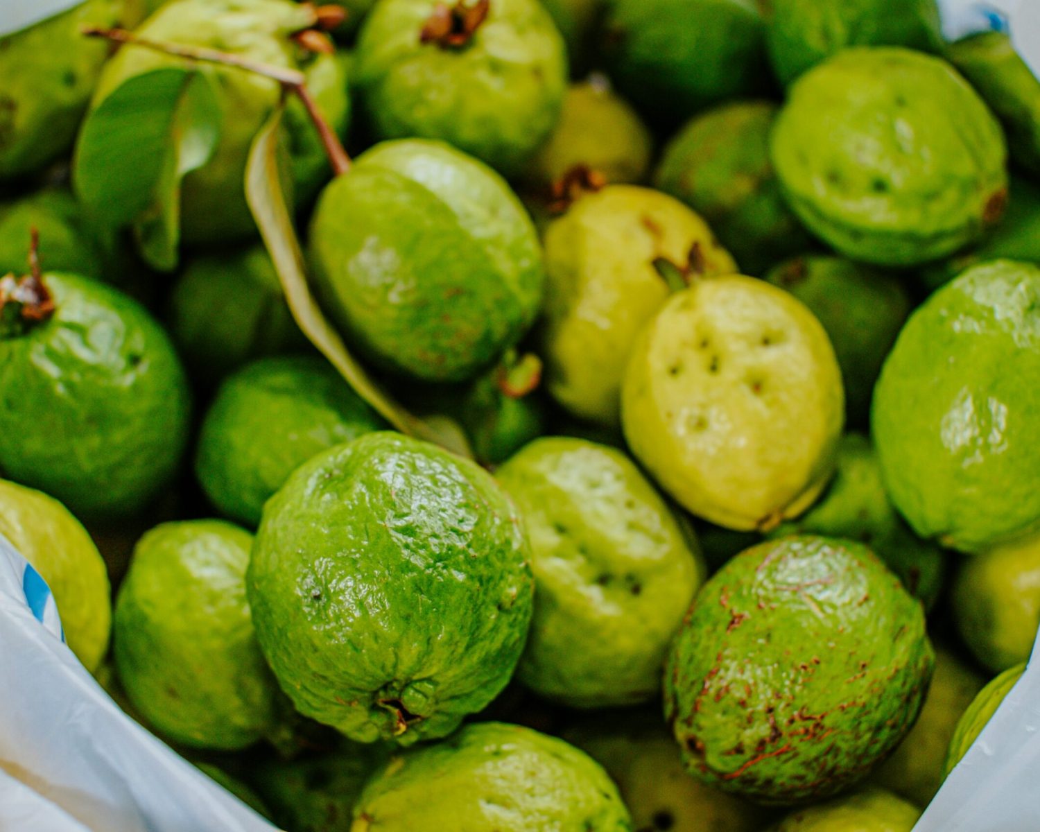 jethro-carullo-PwzJzxdoNxs-unsplash