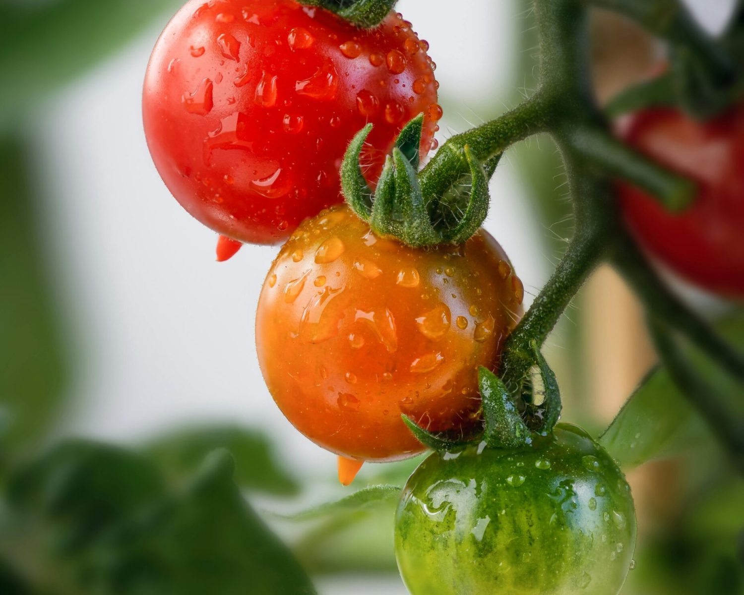 pexels-roonz-4671829